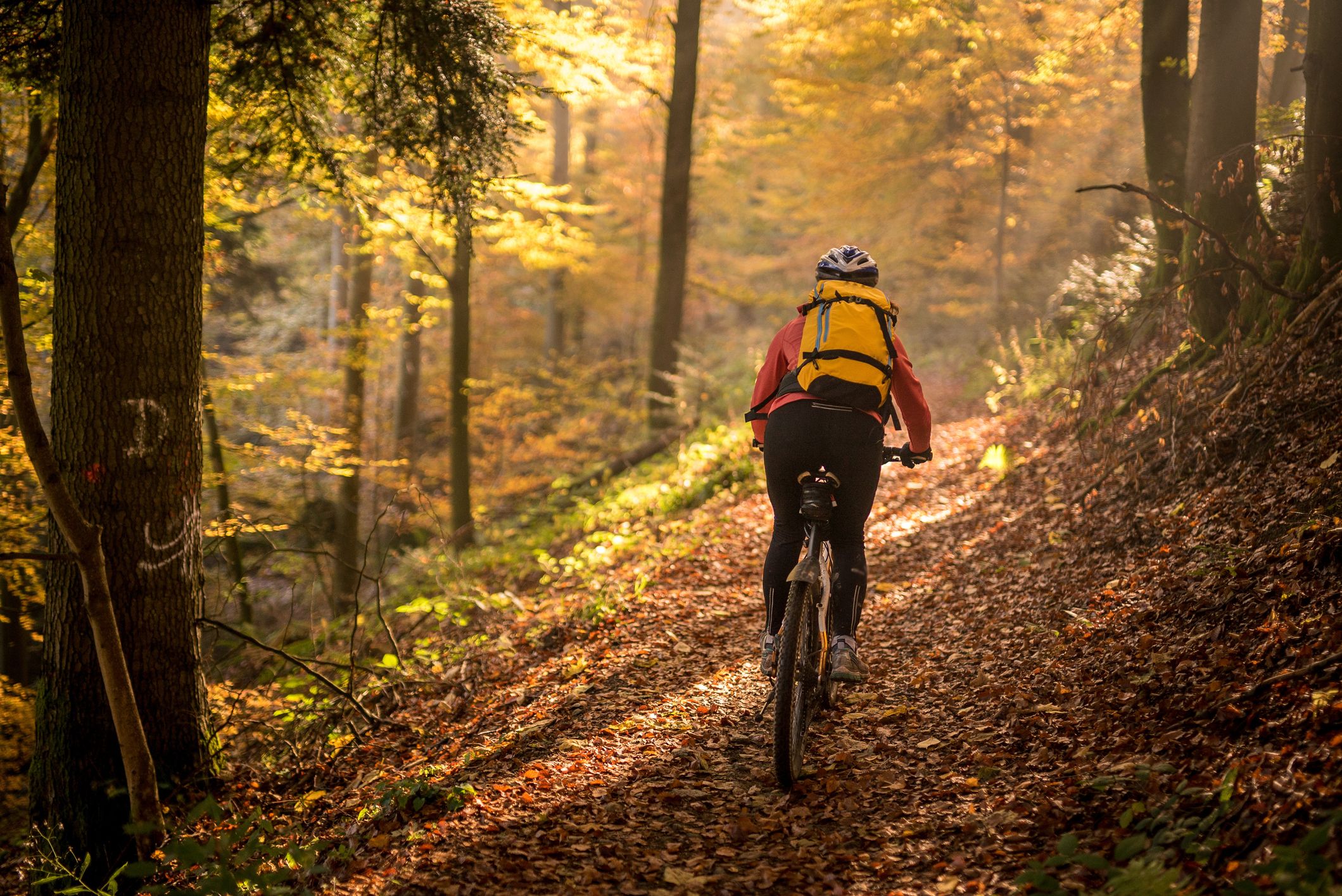 Fall Cycling All the Advice You Need to Keep Riding this Season
