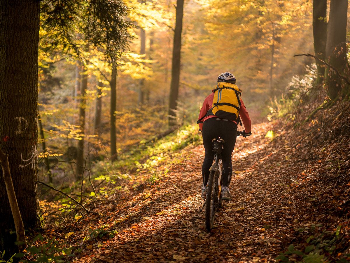 Fall Cycling: All the Advice You Need to Keep Riding this Season