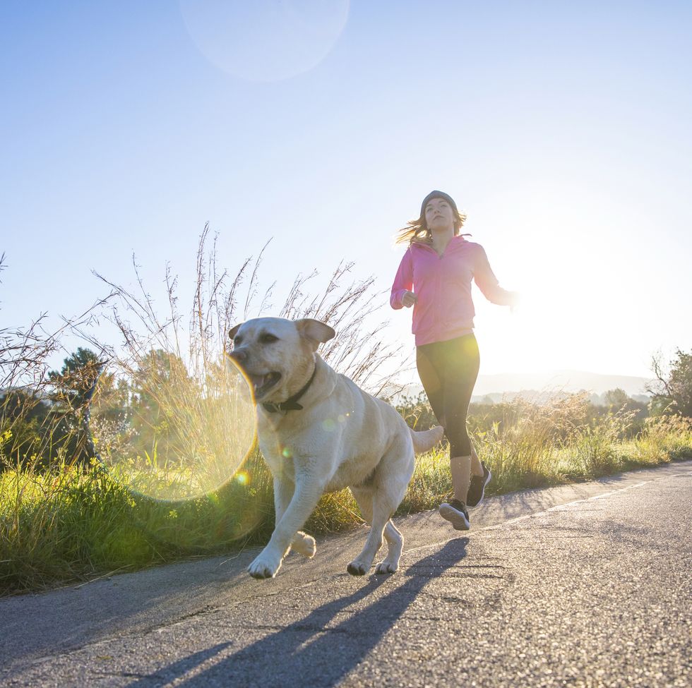 Young woman running along rural road with pet dog, low angle view