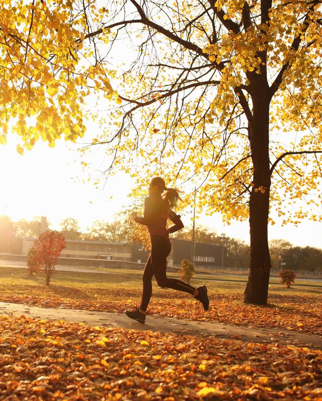 Young woman running garvalin in park, autumn