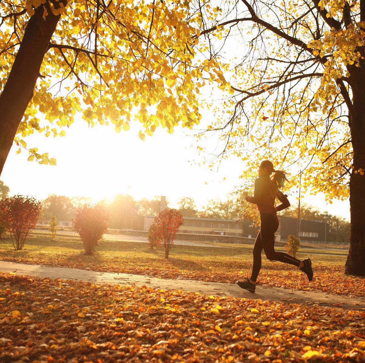 Benefits of Running: All the Advantages You Gain from Running