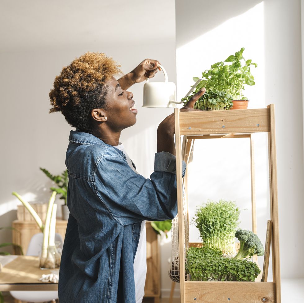 young woman watering green plants on shelf at home