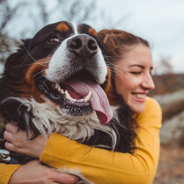 dogs are our oldest and closest companions, new dna has confirmed