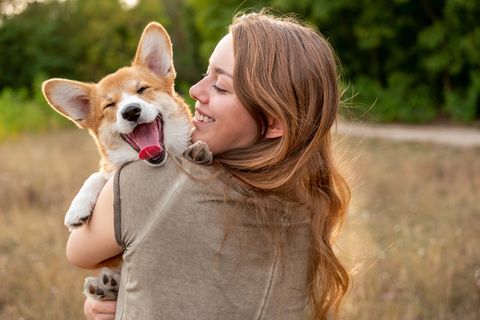portrait young woman with laughing corgi puppy, nature background
