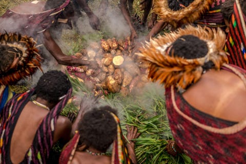 WAMENA PAPOEA INDONESI Hier biedt Teh Han Lin een zeldzaam inkijkje in de manier waarop leden van de Danistam hun varkensvlees en hun hoofdvoedsel zoals zoete aardappel koken in een traditionele aarden oven die is gevuld met verhitte stenen