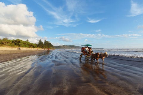 Een door paarden getrokken buggy loopt langs het populaire strand van Maharashtra in India