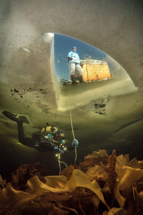 Deze foto werd onder de dichtgevroren Witte Zee in het Russische Noordpoolgebied gemaakt en heeft de titel Twee werelden gekregen Volgens Ljagoesjkin is een ijsgat voor mij hetzelfde als een konijnenhol waardoorheen Alice in haar Wonderland kan vallen