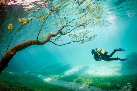 In de lente doet smeltende sneeuw het waterpeil van de Grner See in Stiermarken Oostenrijk met negen meter stijgen Ook de omgeving loopt onder water waardoor er een onderwaterpark ontstaat Zwevend boven bankjes en bomen steek je de grens naar een magische wereld over schrijft Henauer