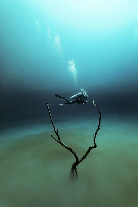 Wanneer je in de Cenote Angelita duikt verandert het licht volgens Guerin van groen in blauw wat een surrealistische sfeer creert Zoet water wordt van het diepere zeewater gescheiden door een laag waterstofsulfide waardoor deze andere wereld ontstaat