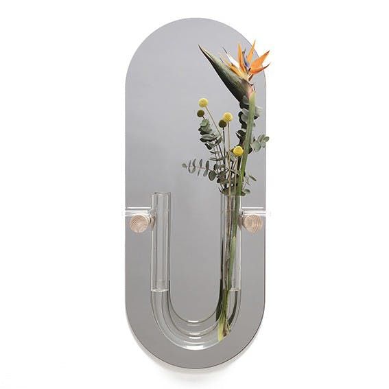 Vase, Plant, Flower, Glass, 