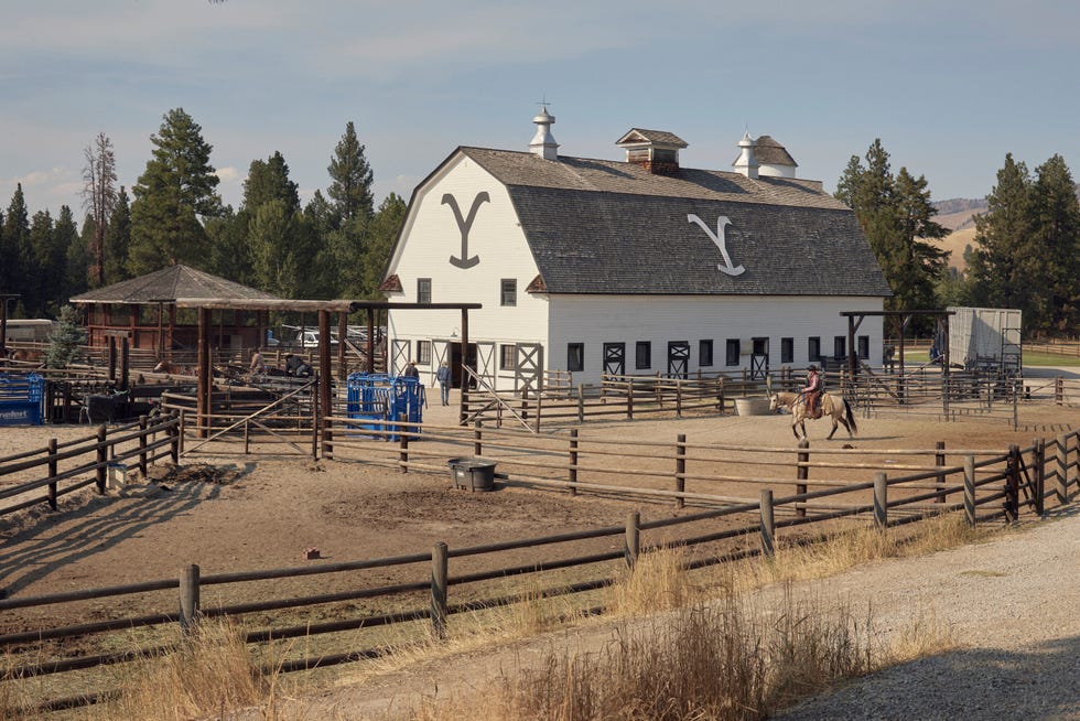 yellowstone taylor sheridan