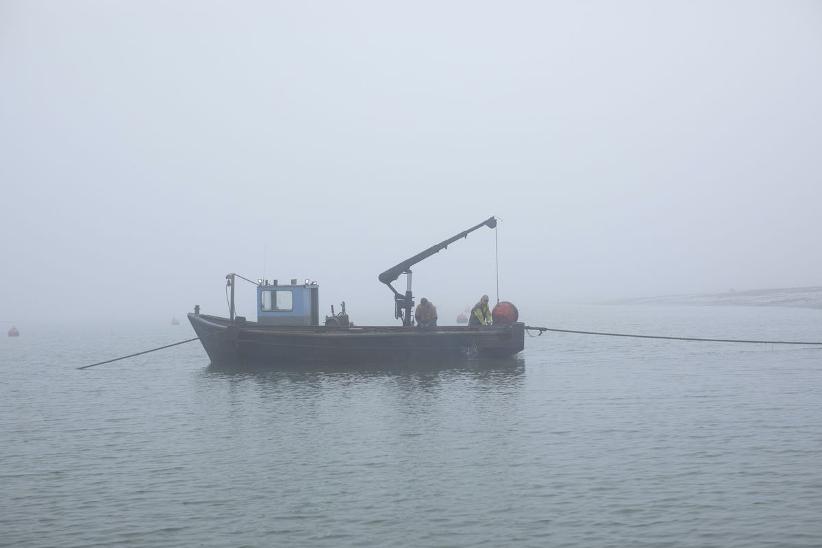 west mersea, england   march 03 a maintenance crew work in thick fog in salcott creek on march 03, 2021 in west mersea, england the haward’s family have been cultivating oysters in west mersea since 1732, and is believed to be one of the oldest such businesses in the world, going back eight generations the business, along with other shellfish farmers and cultivators, has suffered a double blow over the last year, with first brexit, then a pandemic oysters are classified as ‘live bivalve molluscs’, along with other shellfish such as clams and cockles exports from non eu member states, which now includes the uk, is now no longer permitted without being purified first if they are from sub ‘class a’ waters the class of water where such shellfish come from in the uk is monitored, and changes regularly, depending on environmental factors, but more often than not does not reach ‘class a’ the shellfish market is valued at around £12m gbp a year, but for those within the industry these new export rules, along with red tape and paperwork have a massive impact on businesses’ margins on top of brexit woes, the covid 19 pandemic has delivered a second blow as many restaurants across the country remain closed, meaning the chance to sell to uk customers has not been possible leaving the fate and livelihoods of the many fishermen in the sector in jeopardy  photo by dan kitwoodgetty images