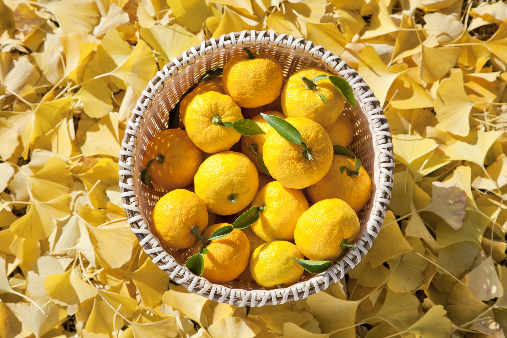 What is Yuzu? All About the Citrus Fruit