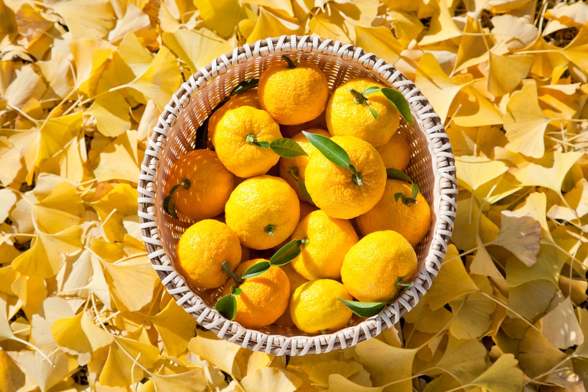 what-is-yuzu-everything-you-need-to-know-about-this-citrus-fruit