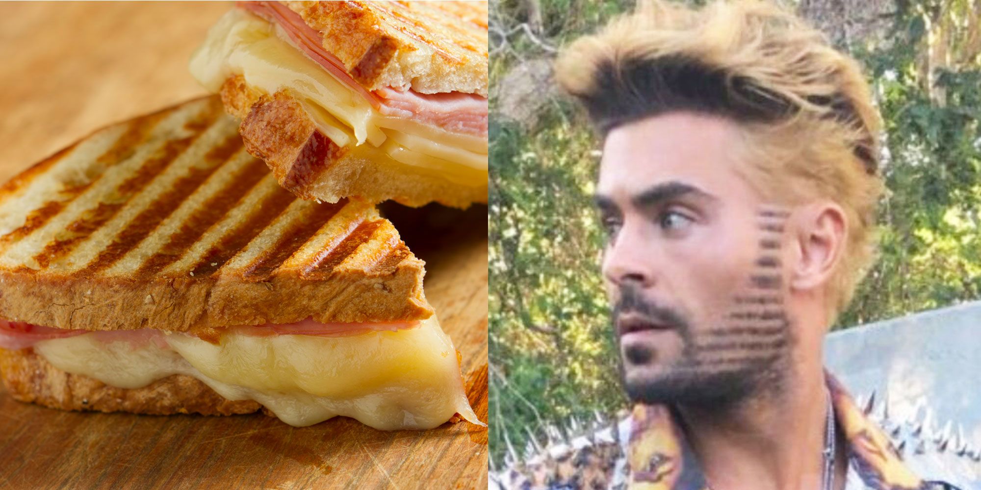Zac Efron's New Haircut Was Literally Inspired By A Panini
