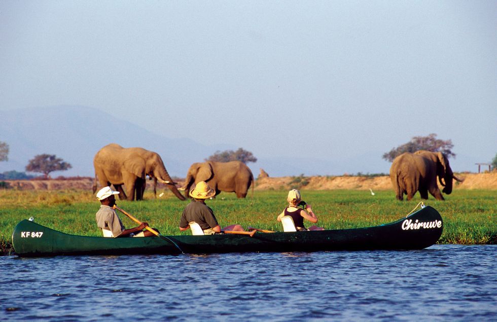 Water transportation, Wildlife, Elephant, Vehicle, Canoe, Boat, Elephants and Mammoths, Recreation, Working animal, Safari, 