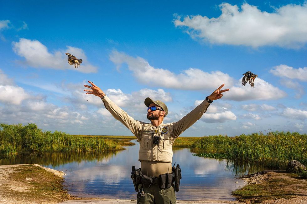 Inspecteur Antonio Dominguez van de Conservation Commission laat ten westen van Miami roodborstkardinalen vrij Soms duurt het weken voordat de vleugels van in beslag genomen zangvogels weer sterk genoeg zijn om te kunnen vliegen