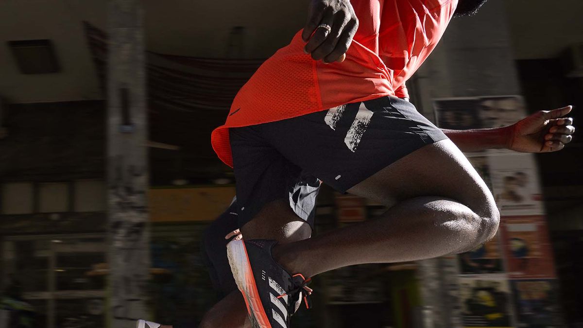 Joseph Banks Tesoro falso Las mejores zapatillas de running de Adidas para asfalto