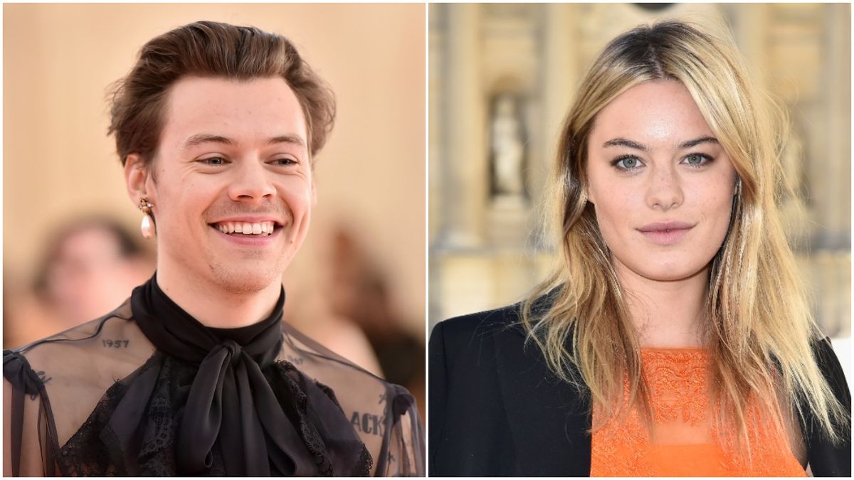 Camille Rowe Voicemail Translation in Harry Styles' 