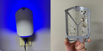 a white bug trap plugged into the wall emitting a blue light next to a clear plastic trap with dead bugs on it