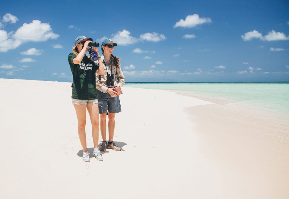 Op de uitkijk op Michaelmas Cay in Queensland