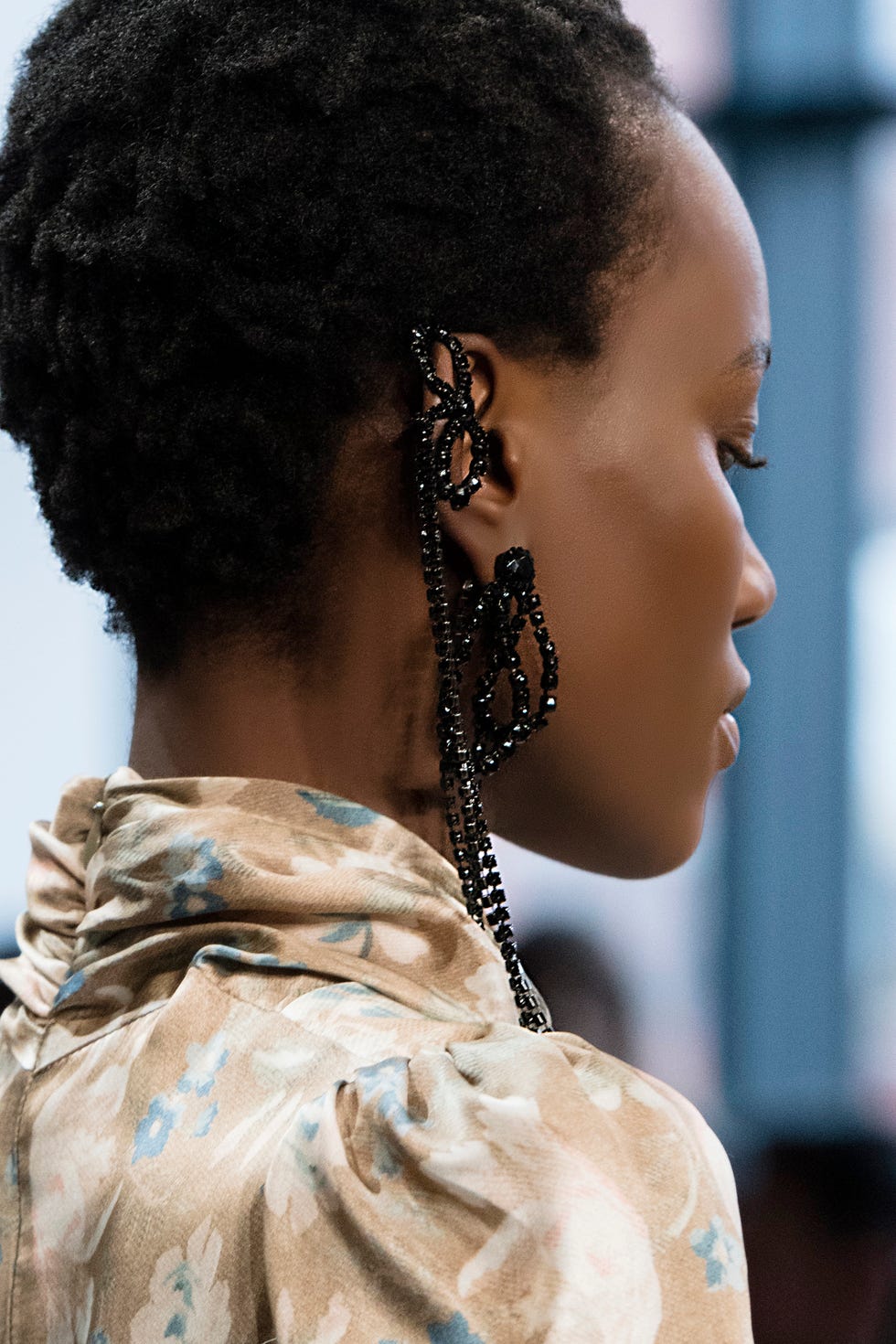 Hair, Hairstyle, Black hair, Chin, Neck, Ear, Chignon, Braid, 