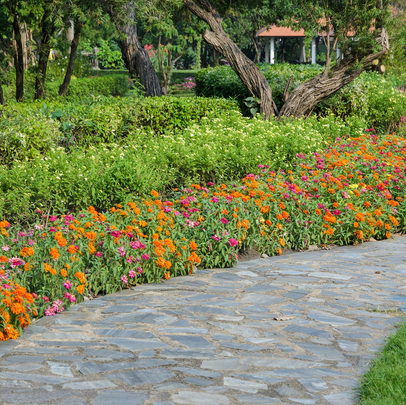 flower garden borders