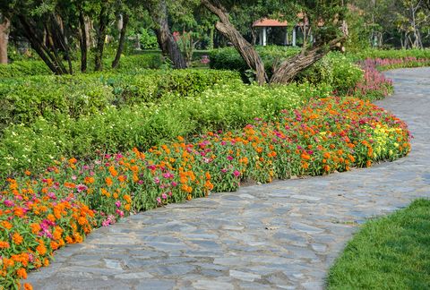 stone pathway in colorful flower garden