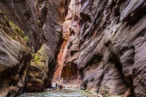 Zion National Park, United States ZION NATIONAL PARK VERENIGDE STATENDe ster van dit nationale park in de beroemde wildernis van het zuidwesten van Utah is Zion Canyon Daar vind je de bekende rode kliffen van zandsteen en populaire bezienswaardigheden en trails als Weeping Rock the Narrows en Angels Landing Het hoogseizoen loopt van april tot oktober wanneer een handige shuttlebus je naar alle hoogtepunten brengt Wie de meute wil ontlopen kan beter in de minder drukke maanden gaan of op verkenning gaan in de meer afgelegen delen van Zion