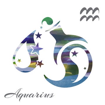 zodiac sign aquarius