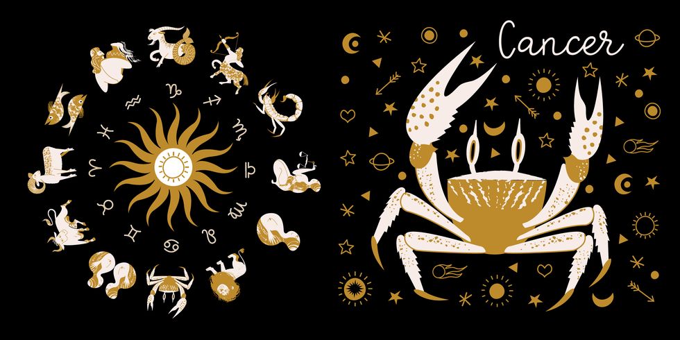 zodiac sign cancer horoscope and astrology full horoscope in the circle horoscope wheel zodiac with twelve signs vector