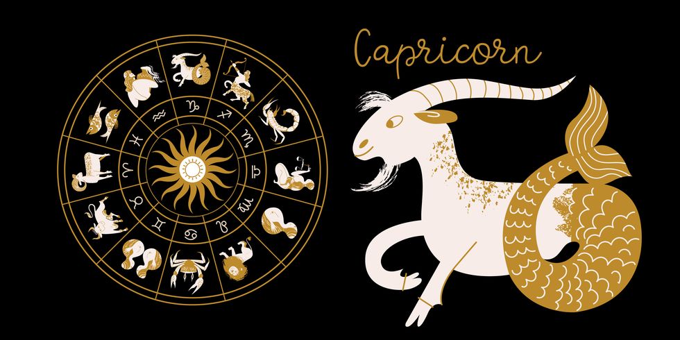 zodiac sign capricorn horoscope and astrology full horoscope in the circle horoscope wheel zodiac with twelve signs vector