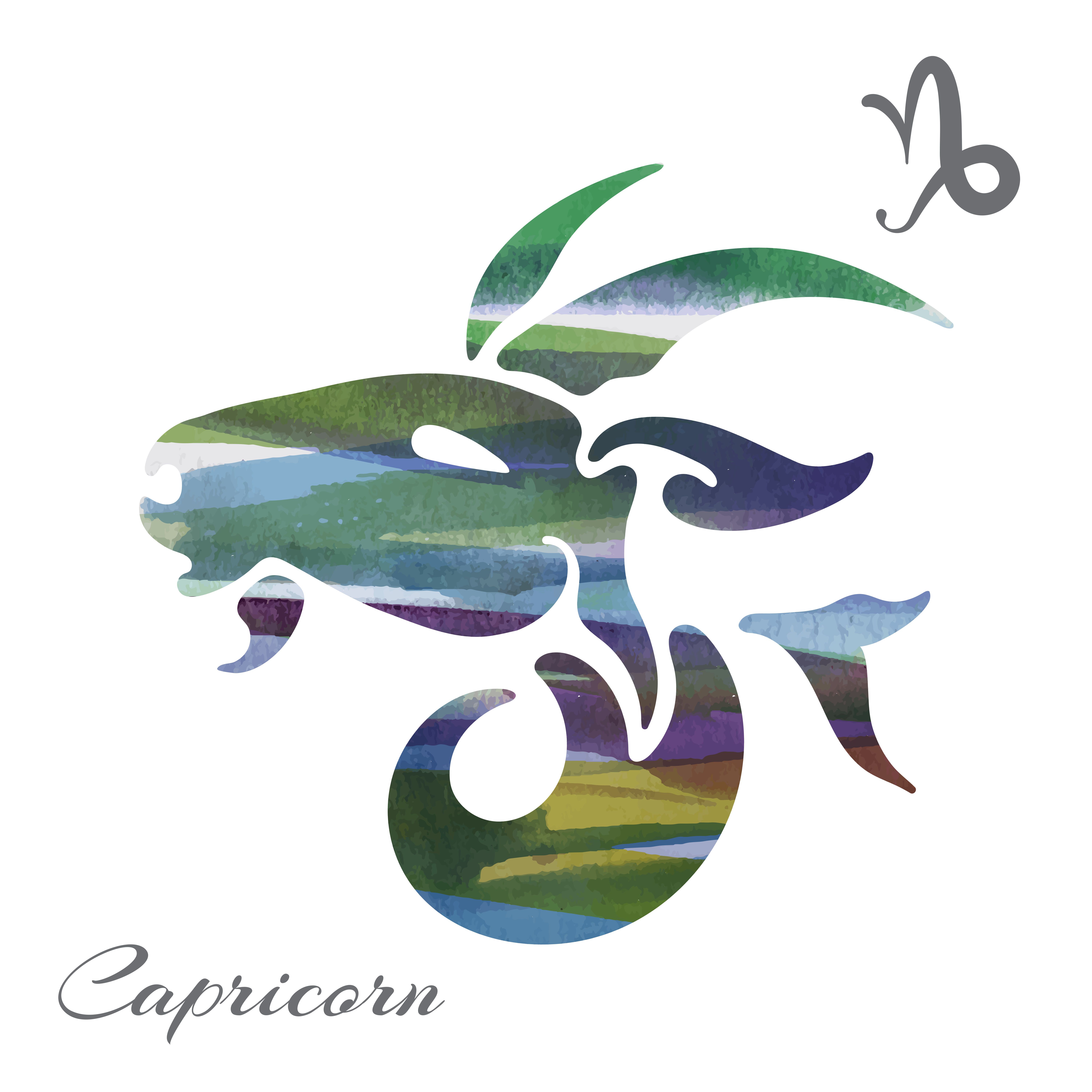 アニヤ★(セールで可愛い)探してた山羊座Capricorn Zodiac やぎ座 | Swarovski