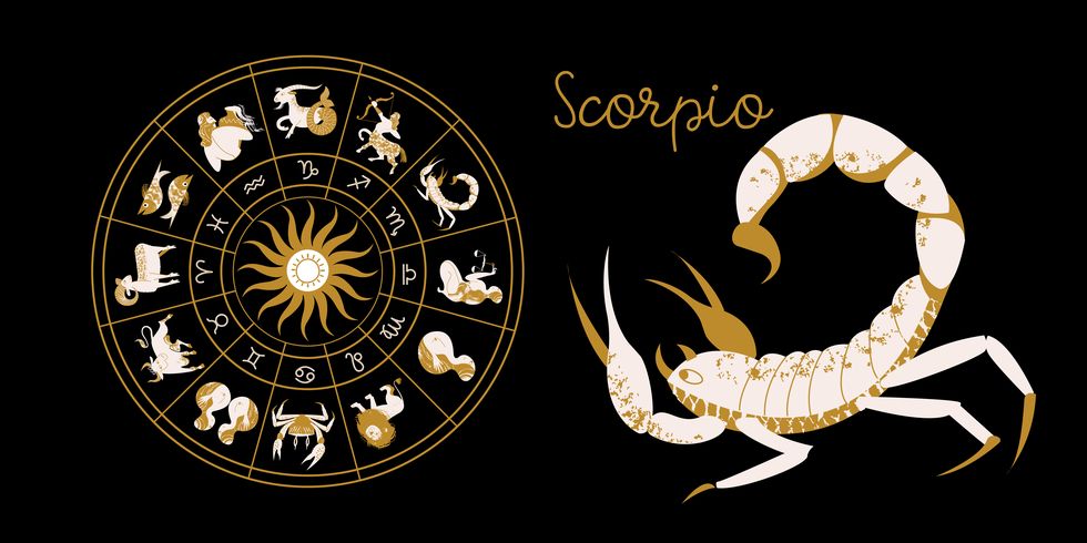 zodiac sign scorpio horoscope and astrology full horoscope in the circle horoscope wheel zodiac with twelve signs vector
