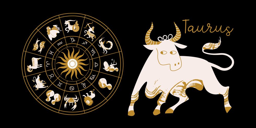 zodiac sign taurus horoscope and astrology full horoscope in the circle horoscope wheel zodiac with twelve signs vector