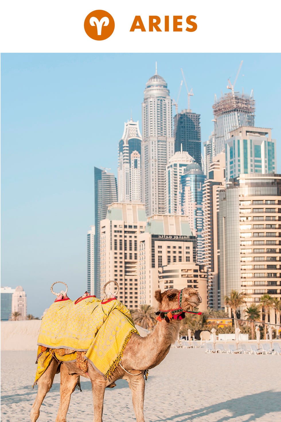 Camel, Camelid, Arabian camel, Landmark, Yellow, Travel, Mode of transport, Tourism, Livestock, Vacation, 
