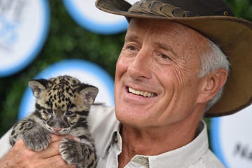 jack hanna