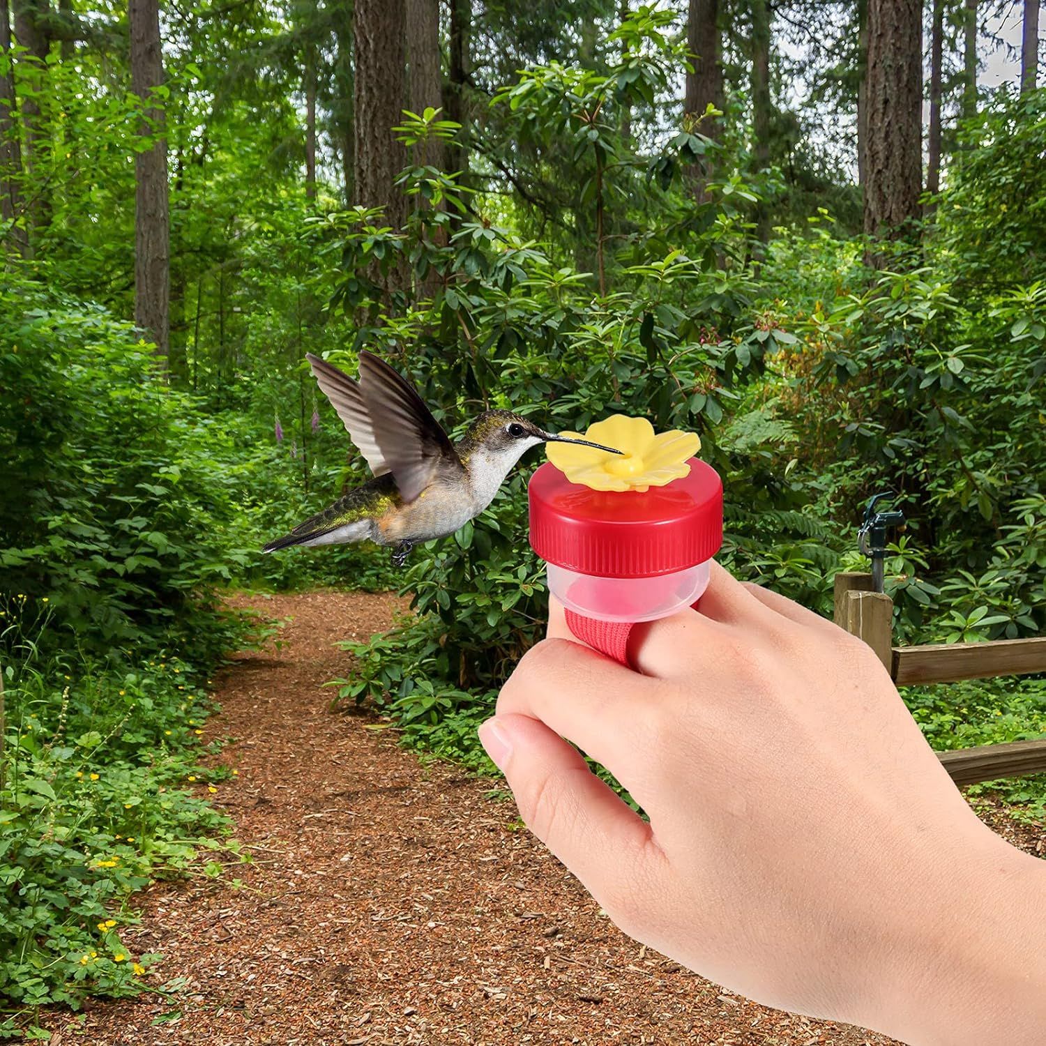 9 Best Hummingbird Feeders of 2024