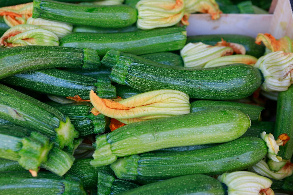 calabacín con sus flores