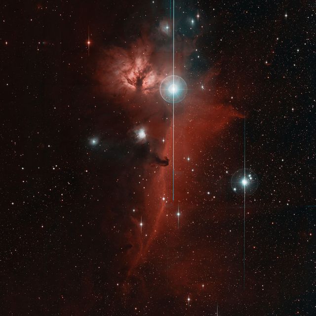 horsehead-nebula-ztf.jpg