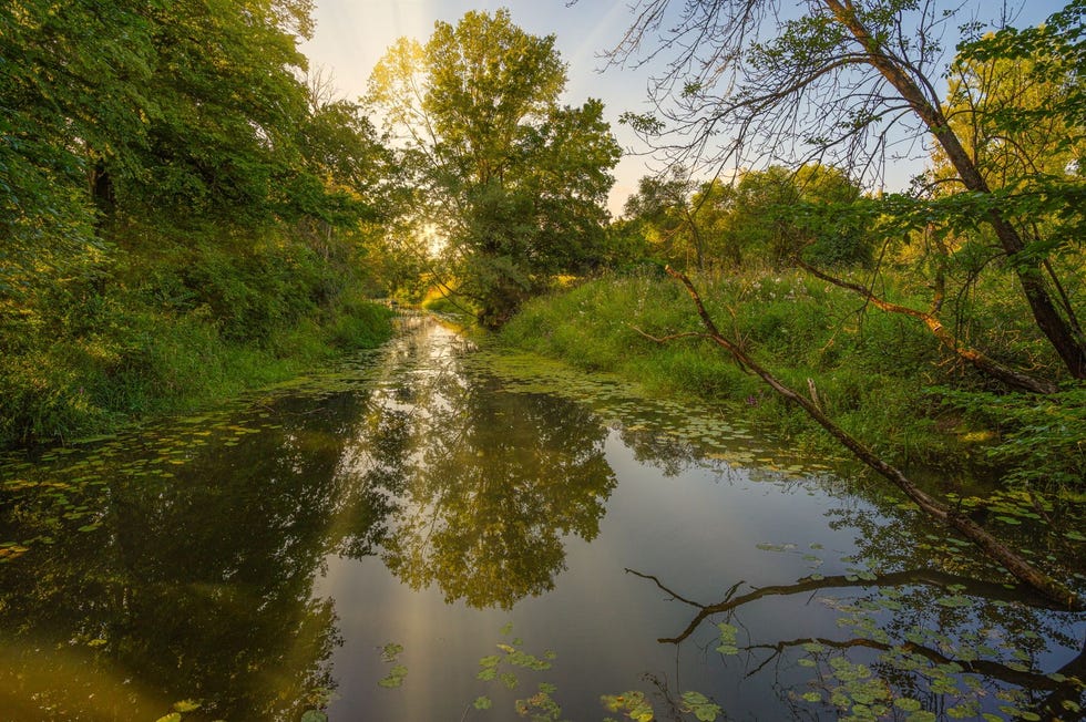 Verken de ongerepte natuur van de riviervallei in het biosfeerreservaat MiddenElbe