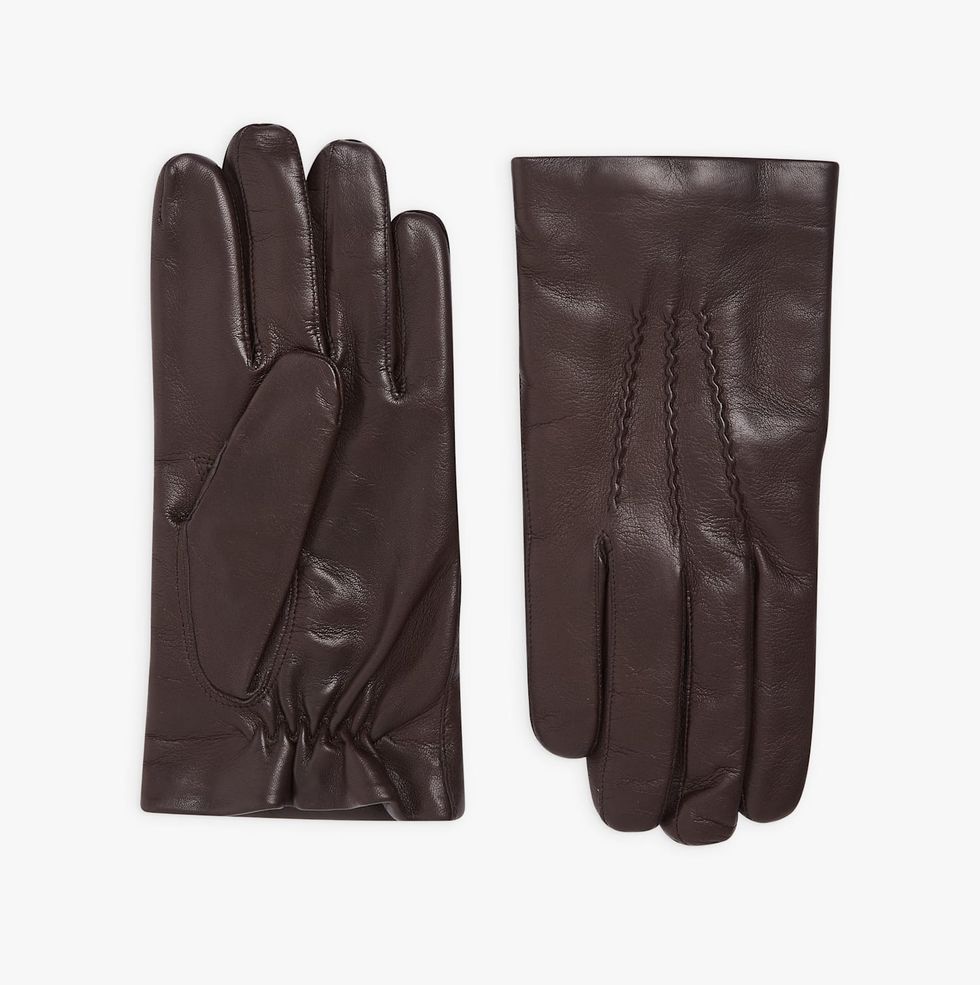 a pair of gloves agnes b