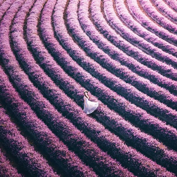 一個女生穿紫色洋裝在紫色花海中