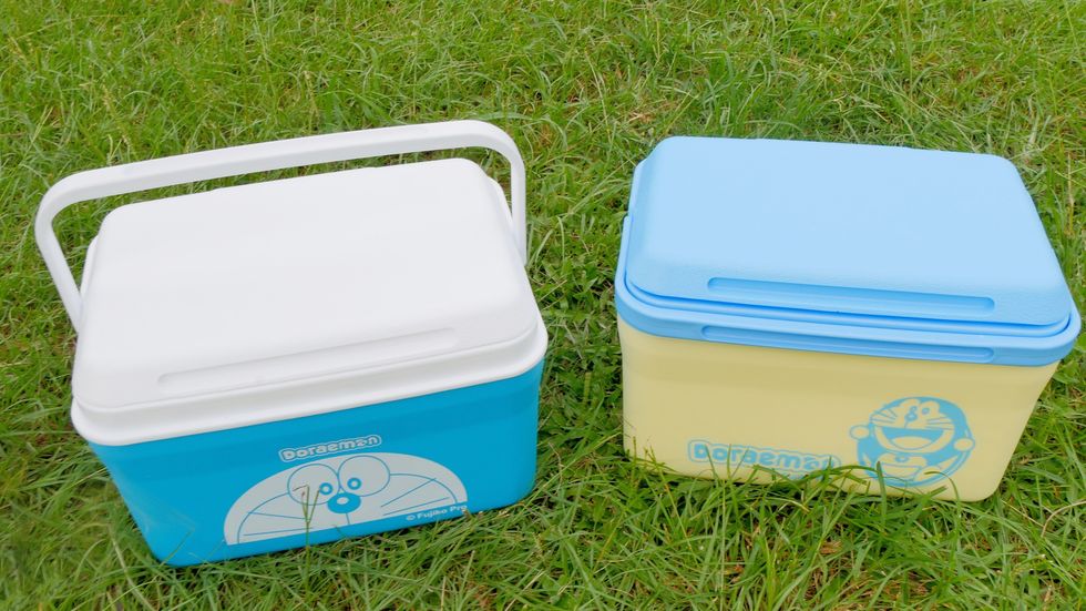 Cooler, Food storage containers, Plastic, Grass, Rectangle, Picnic, Lunch, Recreation, Box, Home appliance, 