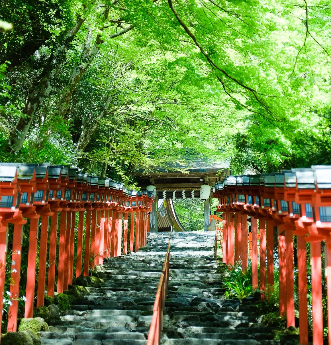 星読みヒーラーyujiの、京都で運気を整えるパワースポット案内