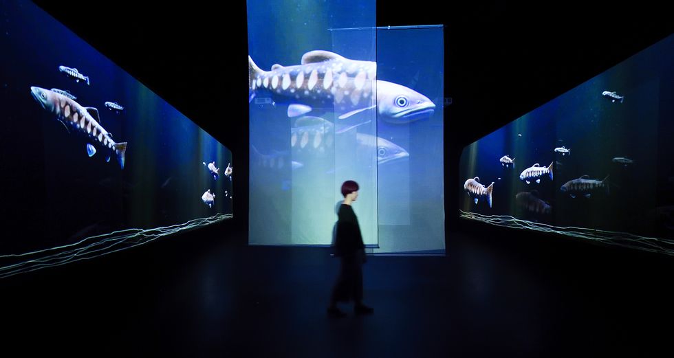 Display device, Design, Stage, Architecture, Fish, World, Projection screen, Visual arts, Performance, Graphic design, 