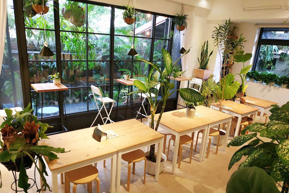 Houseplant, Building, Floristry, Table, Room, Flower, Plant, Interior design, Restaurant, Floral design, 