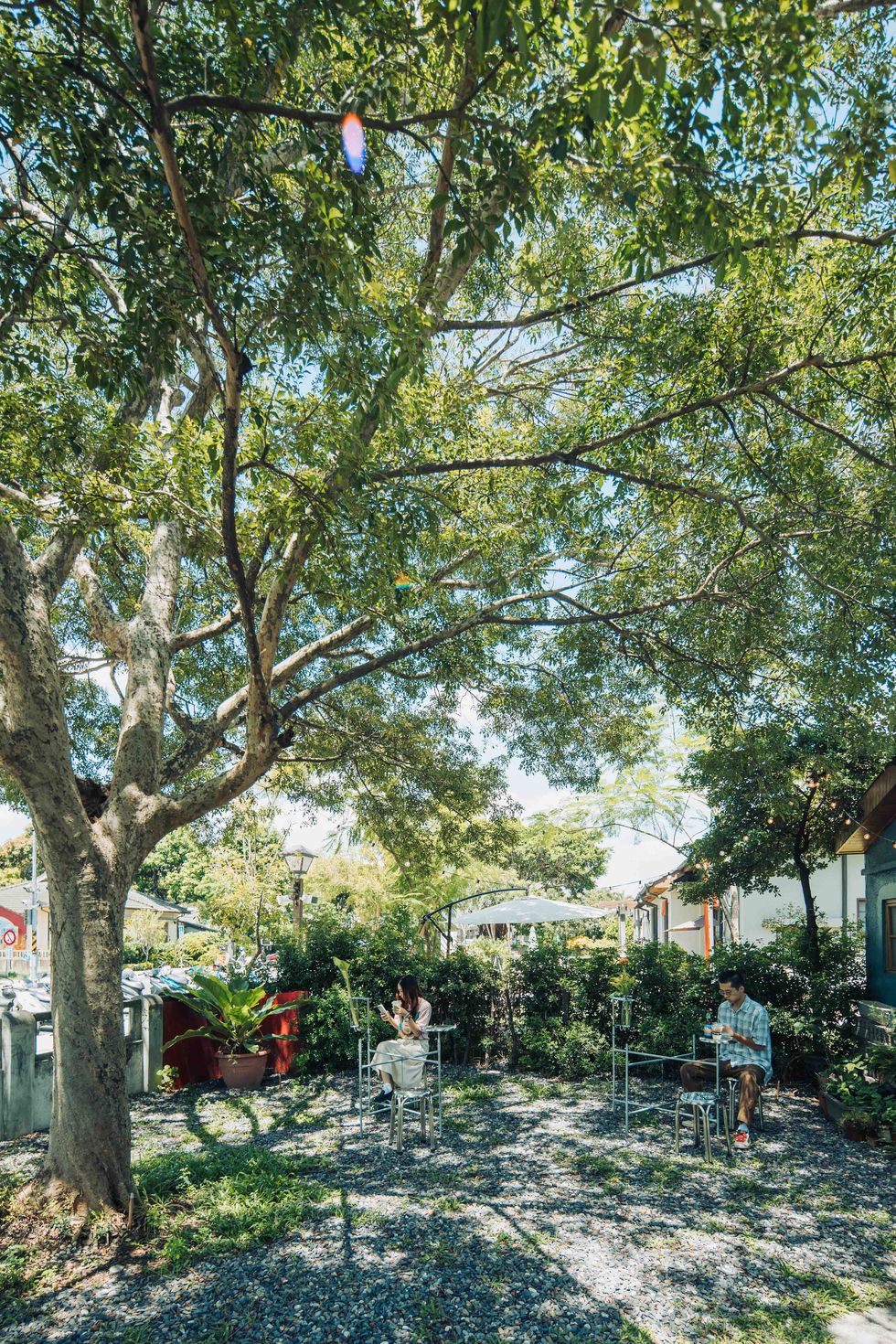 a couple of people sitting under a tree in a yard