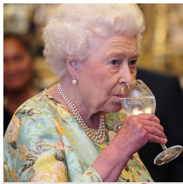【英國皇室】皇室面臨近年最大財務危機，女王開始經營副業賣「琴酒」？