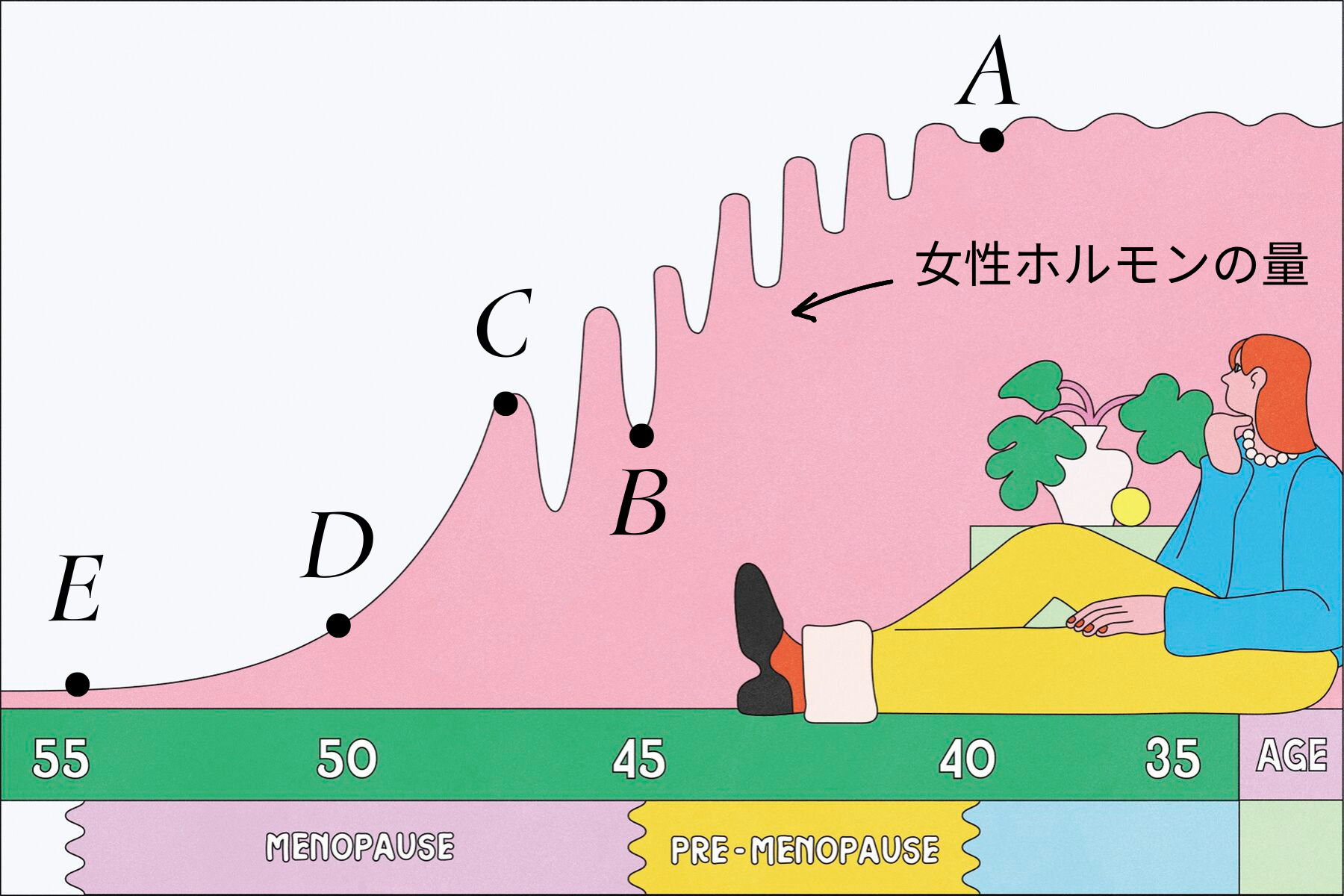 女性ホルモンの量